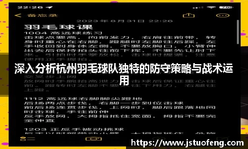 深入分析杭州羽毛球队独特的防守策略与战术运用
